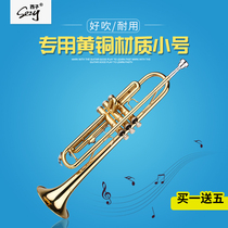 SXZY Xizi SZ-400 B-down trumpet musical instrument performance grade examination Professional Western musical instrument