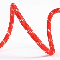 Edelweiss Fliashlight 10mm standard power single rope