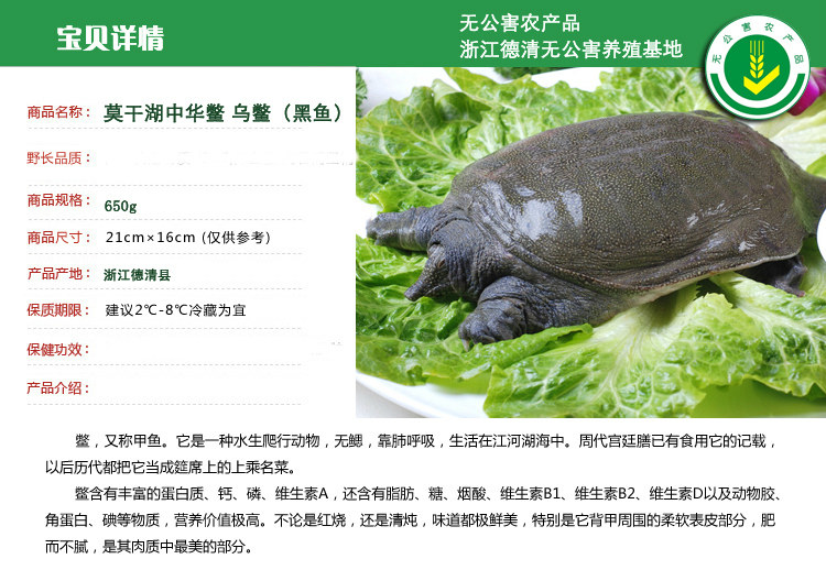 湖州乌鳖 滋补养生之王 黑甲鱼中华鳖 外塘放养团鱼650g鲜活送达