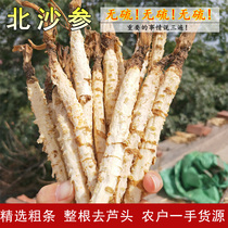 New North Sand ginseng sulfur-free 500g non-inner Mongolian can be equipped with Polygonatum Ophiopogon japonicus whole root branch slices dry strips Chinese herbal medicine