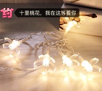 LED colored lights flashing lights string lights starry lights peach blossom marriage proposal confession wedding room lights outdoor waterproof decorative colored lights