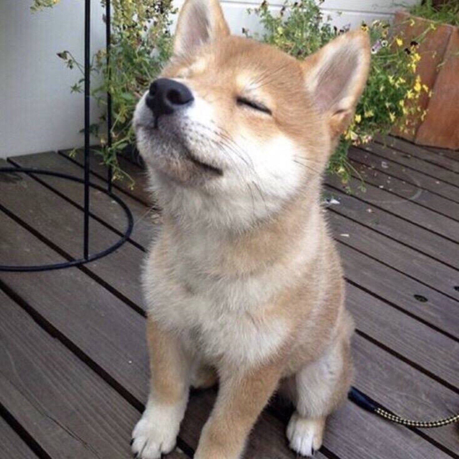 趣值买