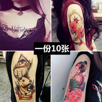 Net red big picture flower arm tattoo stickers waterproof men and women lasting Korean simulation non-herbal semi-permanent tattoo stickers 10