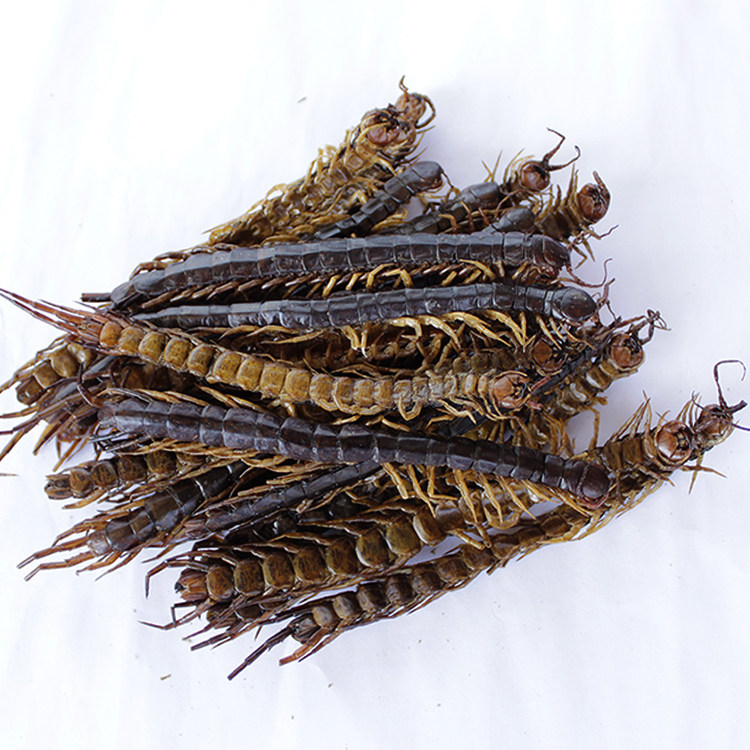 中药材 蜈蚣皮 蜈蚣肉 野生大蜈蚣泡酒用 体型完整无竹签50g包邮