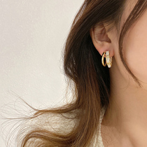 Velvet Chain Earrings 2021 New Tide Double Layer Metal Earrings Autumn Winter Light Extravaganza Superior sensual sensual sensual sensual