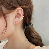 One Leaf Floating Earrings Small Crowddesign Sensation South Korea Advanced Full Drilling Ear Exhaust Gas Super Shiny Luxurious Large Door Ear Accessories