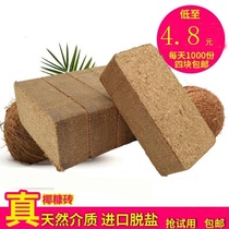 Coconut Brick Nutrient Broccoli Coconut brick Coconut Brick Chunks 9 catty Coconut Clay Organic Nutritious Native to Grow Vegetables Multimeat Common Soil