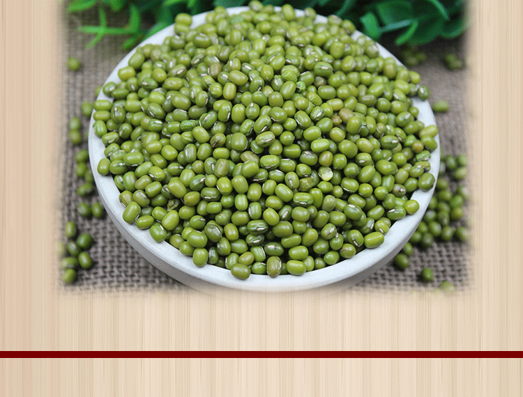 新货绿豆500g 农家自种小绿豆 笨绿豆 明绿豆 生豆芽 绿豆汤粥_7折