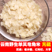 Saponata rice 100g Yunnan Lianghe large granules natural single pod Snow Lotus non double pod peach gum Xueyan soup