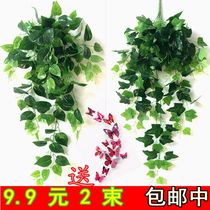 Simulation plant fake flower rattan plastic green leaf green plant leaves green leaf chlorophyte indoor wall decorative vine