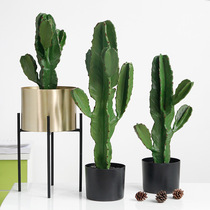 Simulation cactus pillar plant potted indoor net red homestay restaurant coffee window tropical cactus green plant bonsai