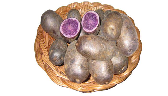 红皮土豆 红皮土豆,源自"土豆之乡"—南美洲秘鲁,土豆颜色特别