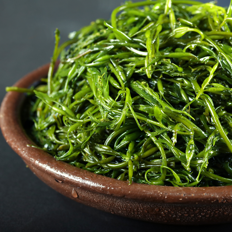 野生盐干烘干马尾藻海藻长寿菜海草海带头鞭炮笋500g/份干货包邮