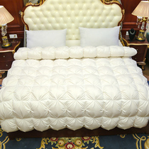 Down quilt 95 white goose suede winter by duck suede bedding double five-star hotel thickened warm quilt quilt core