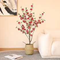 Emulated flower berries fruits and fruits winter green fruits Potted fruit potted flowers Joe relocating gifts New Year decorations trees auspicious wedding bonsai