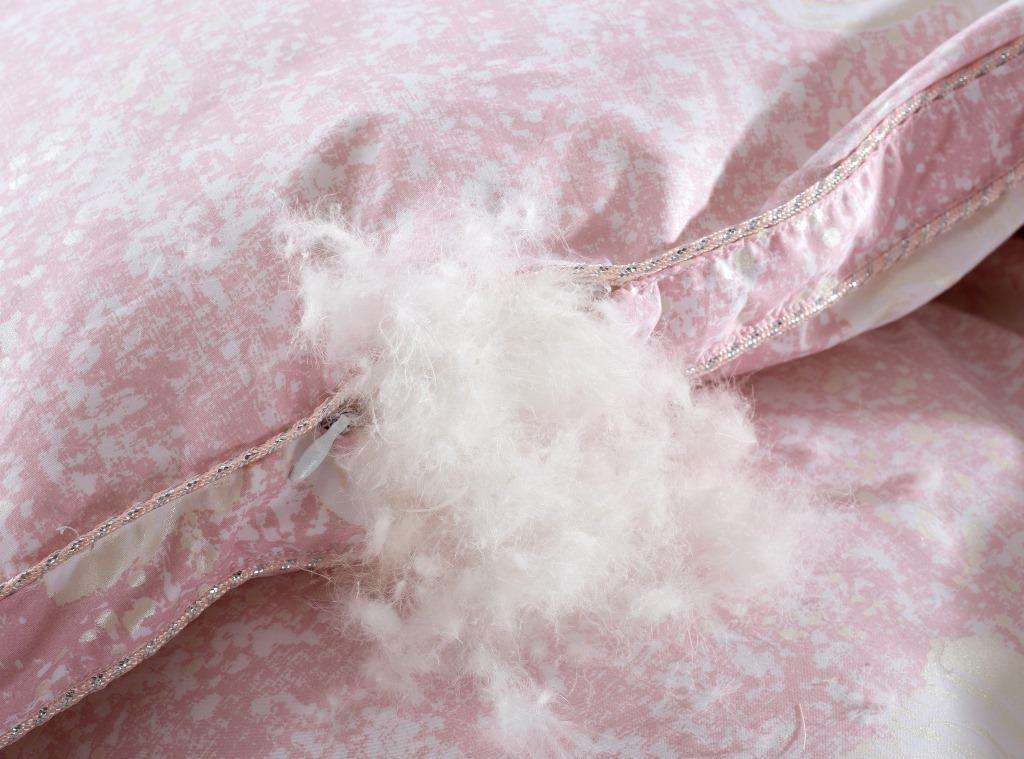 怕冷星人看过来,冬季怎么选羽绒被?