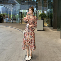 Long dress early summer female long section 2020 new spring floral chiffon v-neck long-sleeved dress Korean version of the thin skirt