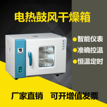 Electric blast drying box Laboratory high temperature industrial oven Small herbal drying box Vacuum constant temperature incubator