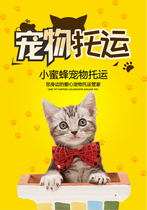 Pet consignment service National air transport epidemic prevention certificate Air transport random cats and dogs owners accompanying car transport hitchhiking