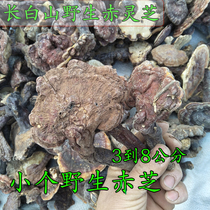 Long white mountain wild red lingzhi wild red lingzhi red lingzhi wild lucid lucid lucid lingzhi wild 250 gr barezhi