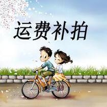 Mulah Electronic Freight Specialized Patch How Much is the film