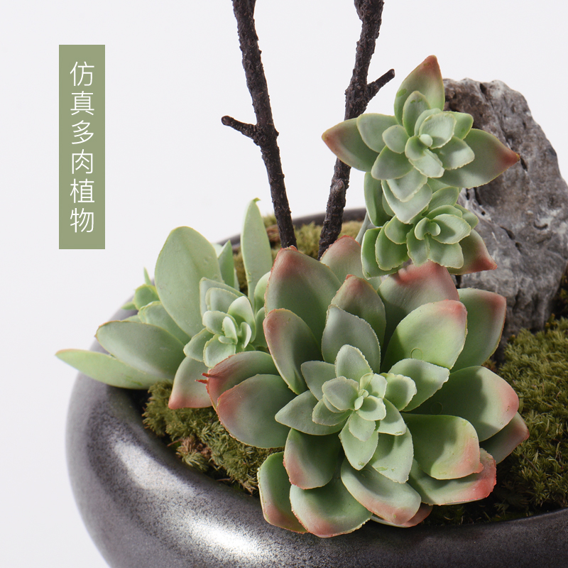 New Chinese style flower art stone bonsai the plants flower arranging flowers exchanger with the ceramics zen tea table rich ancient frame, green plant furnishing articles