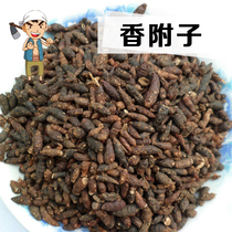 Wild Cyperus 500 grams of fragrant grass bird head incense and side cypress leaves