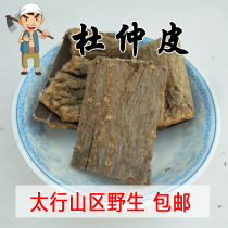 Taihang Mountain Wild Eucommia Bark 500g Deep Mountain Natural Eucommia Tea