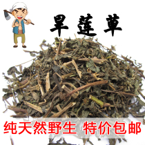 Taihang Mountain wild ink dry lotus grass 500 grams can be used to grind ink dry lotus grass powder