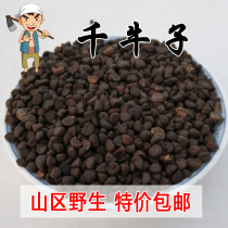 Taihang Mountain wild Morning Glory seeds 500g black ugly free powder horn flower seeds