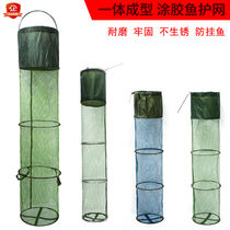 Jiangtes fish guard glued anti-hanging quick-drying stainless steel double ring fish guard Competitive fish household net pocket fish guard fish guard net