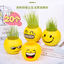 Grass head doll office mini plant small potted grass planting expression desktop diy potted student gift