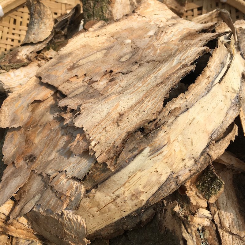 老杜仲树皮1斤 现采野生新鲜带丝杜仲皮深山中草药材补肝肾强筋骨