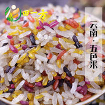 Yunnan Luoping specialty five-color rice Buyi flower rice handmade rice plant dyed colorful rice glutinous rice 500g