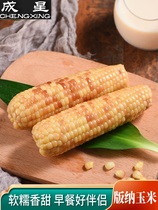 Star Yunnan Xishuangbanna Fragrant Glutinous Millet Corn 1 5kg Breakfast Sweet Glutinous Vacuum Loaded Coarse Grain Ready-to-eat Meal
