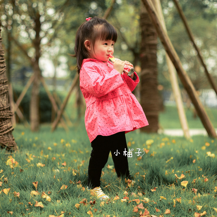 18 months-4 years old export girls' autumn cotton polka dot zipper hooded windbreaker coat girl baby windproof top