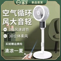 Air circulation fan remote control timing desktop aromatherapy fan floor fan home dormitory mute multi-function fan