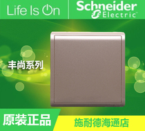 Schneider switch socket panel Fengshang Champagne gold socket baffle Blank panel white cover board Whiteboard