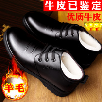 Official Net Red Dragonfly Mens High Help Shoe Han Edition Trend middle-aged Dad Black Leather Shoes Men Cotton Shoes Winter Warm