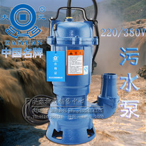 Zhejiang Dayuan Agricultural Sewage Pump Sewage Pump Mud Pump Submersible Pump Household 220V Septic Tank Pump 380V