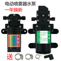 Agricultural Electric Nebulizer Motor High Pressure Dosing Pump Self-Priming Pump Diaphragm Pump 12V Pump Sprayer motor