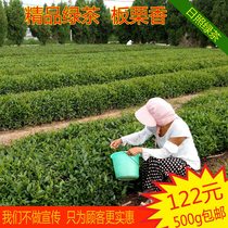 Lu Binghua Rizhao Green Tea 2021 New Tea Shandong Spring Tea First Class Authentic Chestnut Fragrant Bulk Tea 500g