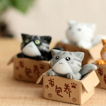 Moss micro landscape rainforest tank for private cat flower pot bonsai Cat Doll Doll multi-meat ornaments