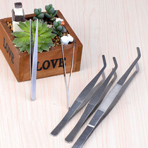 DIY rainforest tank water and land tank stainless steel tweezers clip bryophytes micro landscape ornaments special meticulous gardening