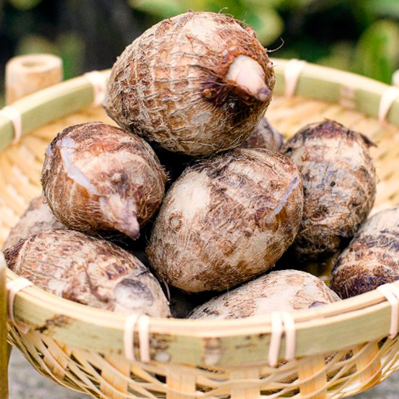 淘宝内部优惠券 就在我要扒一扒 傲威咫尺网