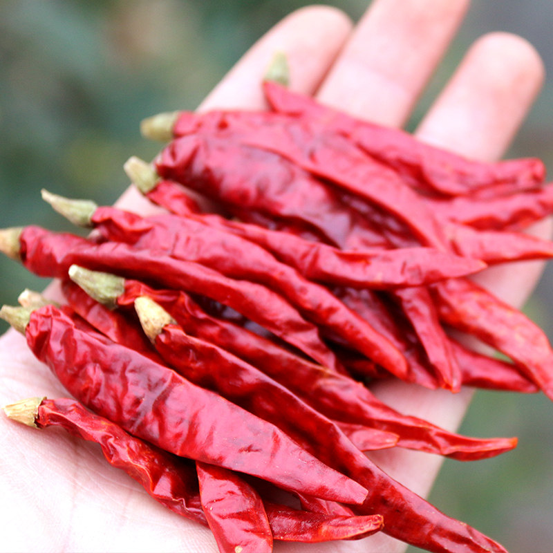 超辣辣椒 印度魔鬼辣椒王250印度椒变态辣椒巨辣特辣可磨粉红辣椒