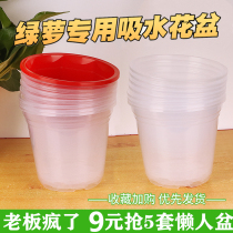 Lazy flowerpot automatic water absorption green dill pot round simple water-free plastic thickened pot transparent water storage special pot