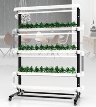 Wall-mounted planter LED full spectrum fill light soilless cultivation hydroponics indoor living room balcony planting flowers and vegetables