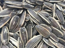 New Caramel Pecan Flavor Jujube Melon Seeds 500g Snack Nuts Roasted Dry Sunflower Seed Specialty