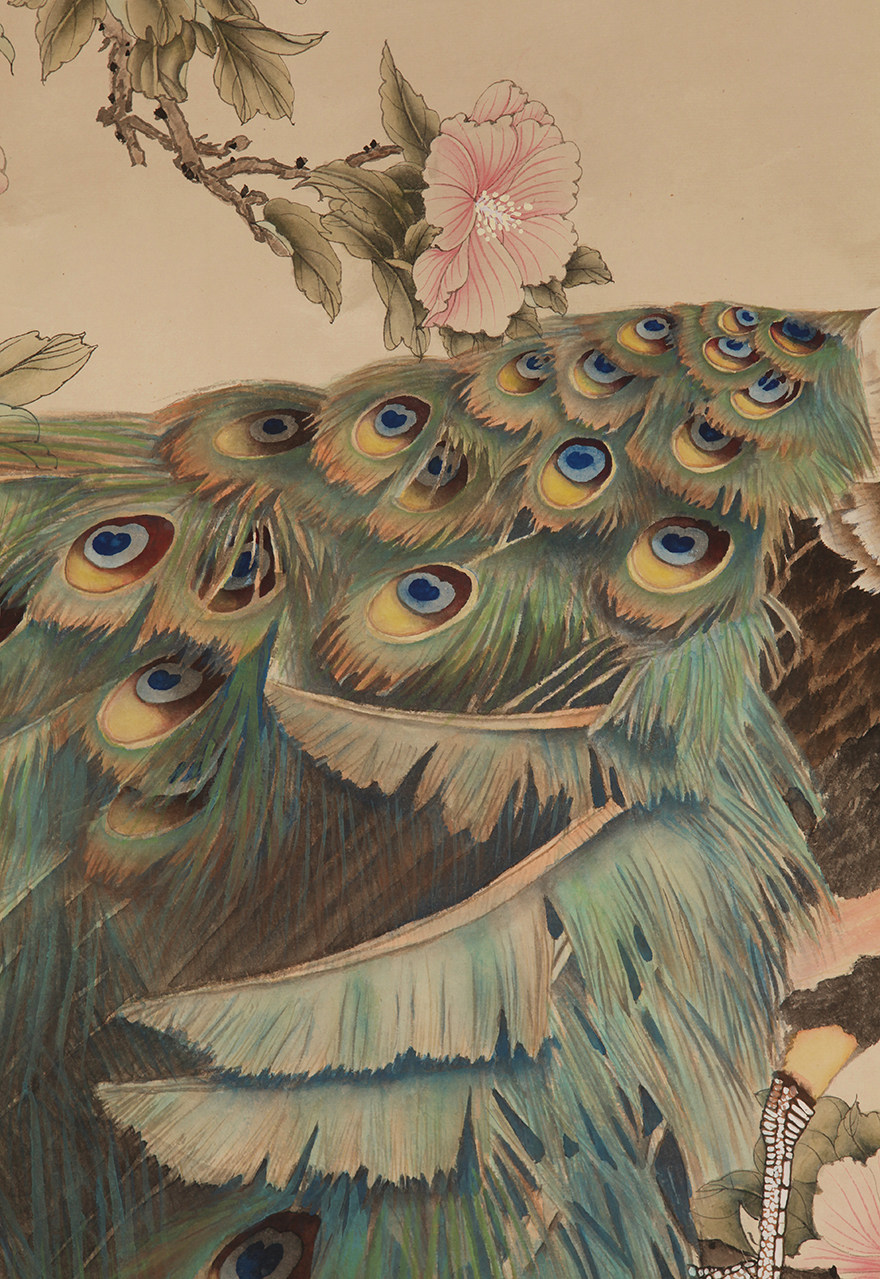 田世光 孔雀 tb111038